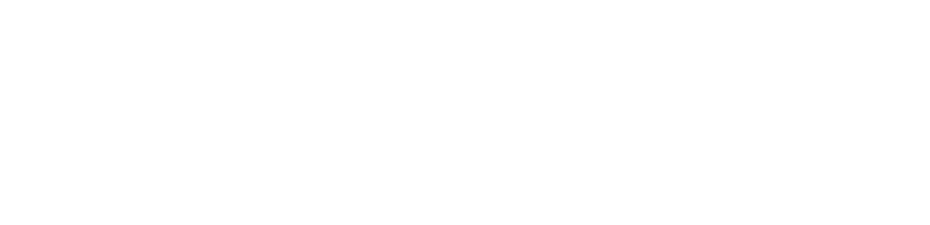 dsprints_weiss_logo_isoliert-transparent.png